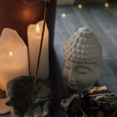 pexels-arina-krasnikova-6998580