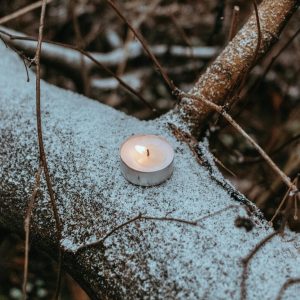 pexels-moklebust-11128551