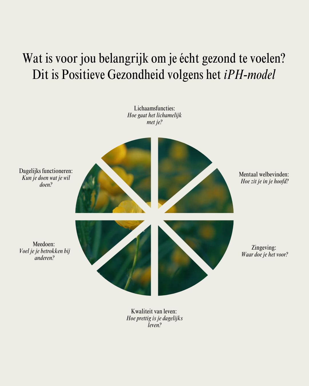 Wat het iPH-model laat zien over jouw gezondheid