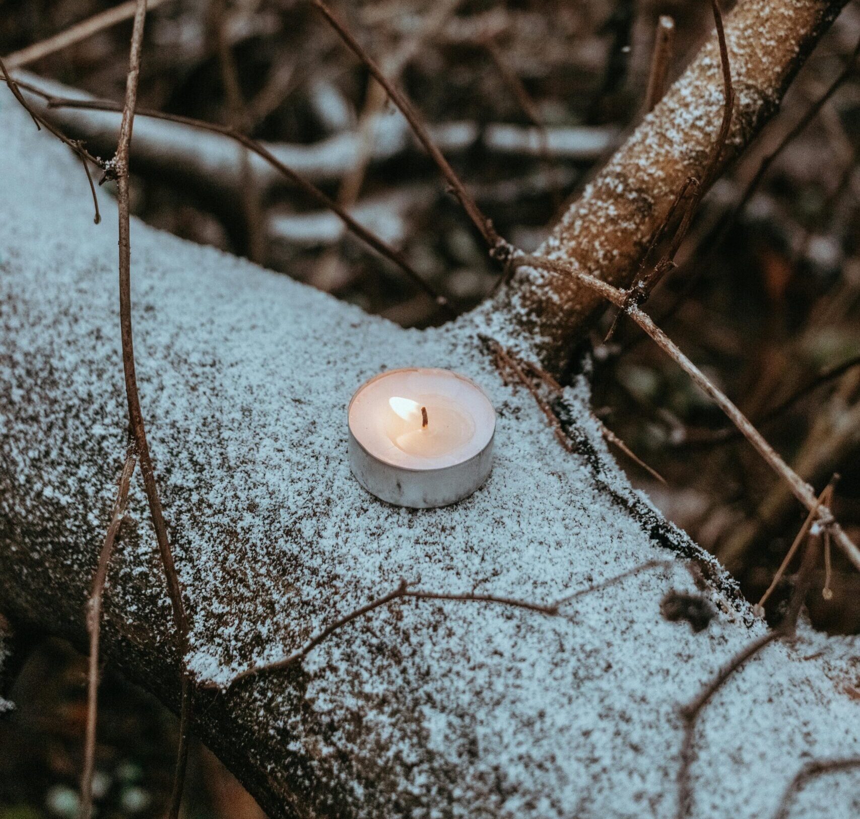 pexels-moklebust-11128551 pexels-moklebust-11128551